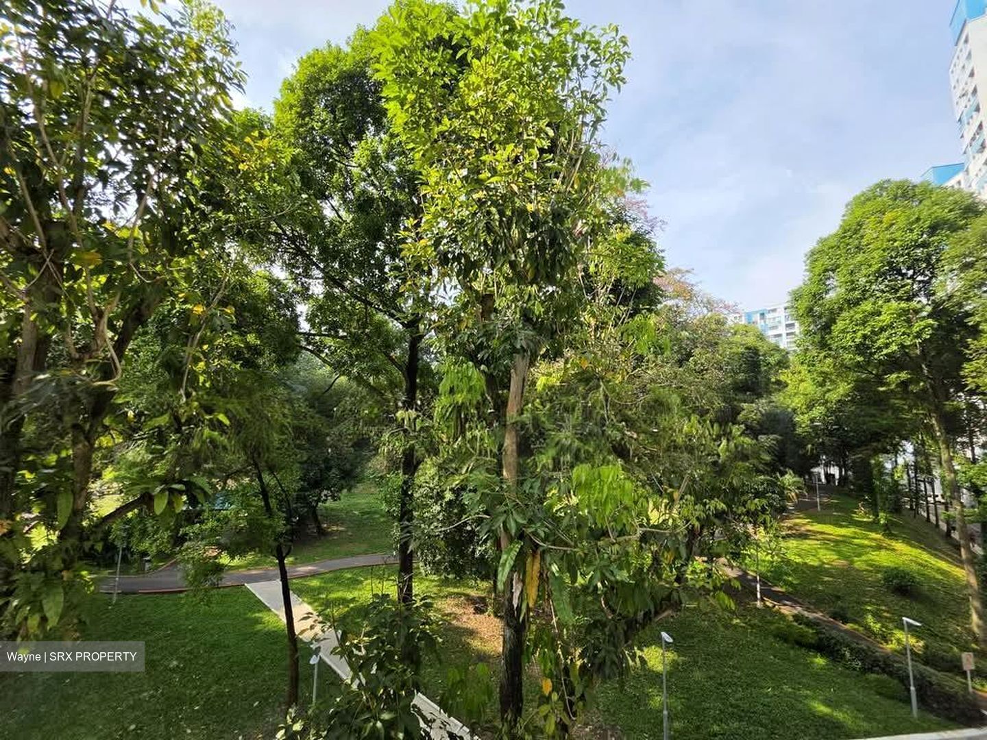 Blk 534 Panshan Grove (Bukit Panjang), HDB 5 Rooms #578675041
